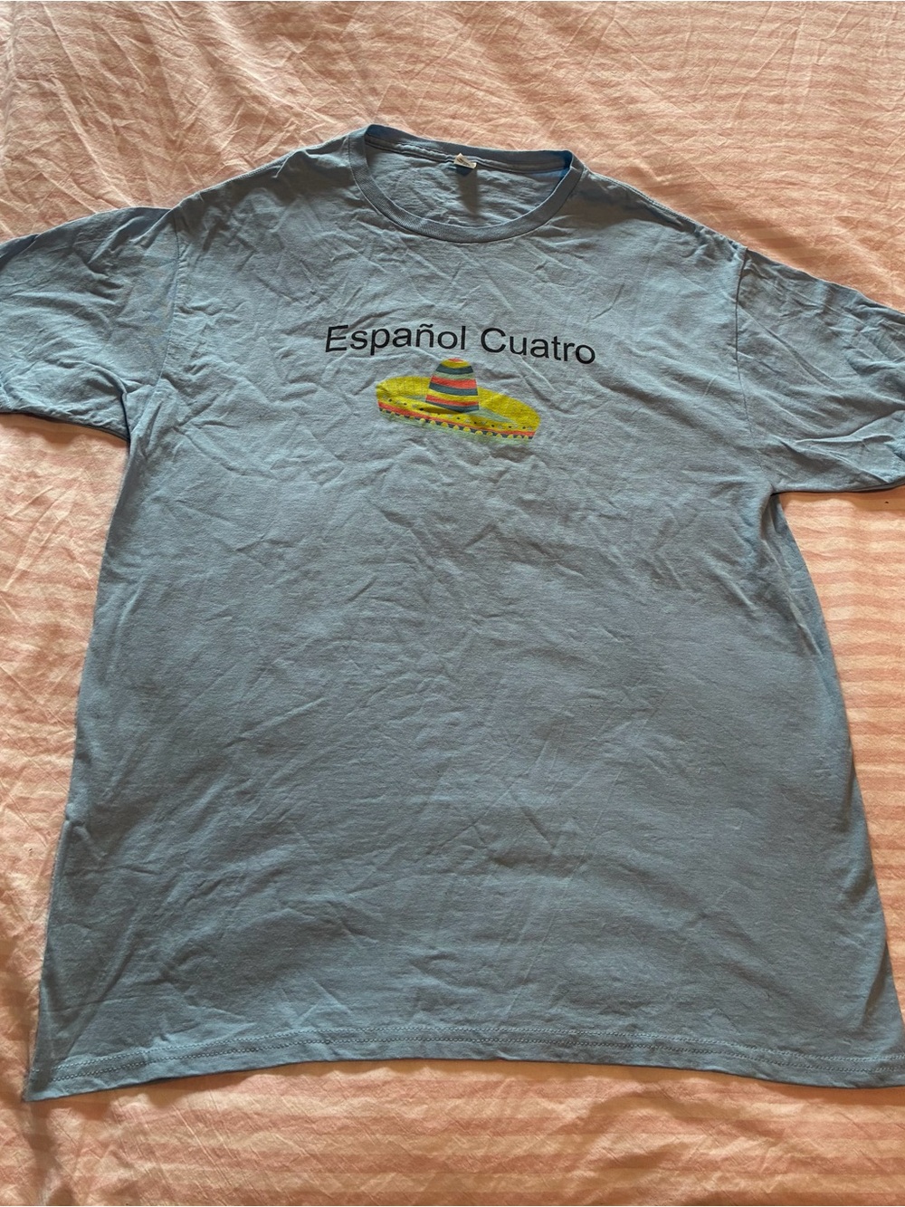 Fruit of the Loom Light Blue EspaΓ±ol Cuatro Graphic Tee